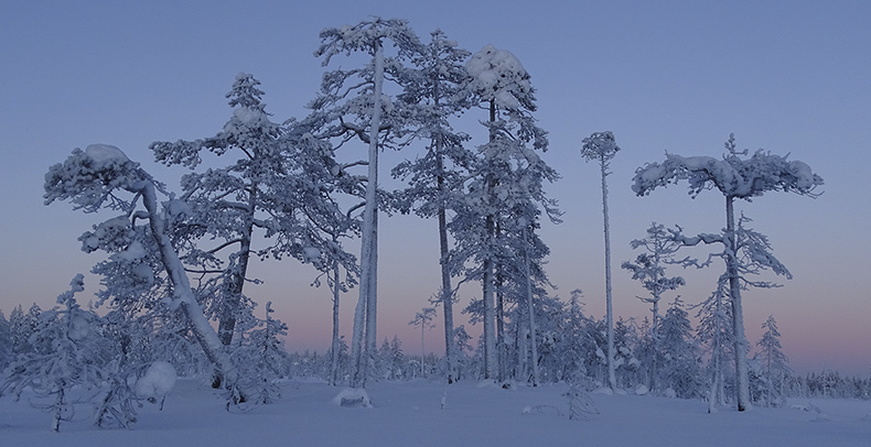 Perungan sininen hetki_AT_790x406.jpg